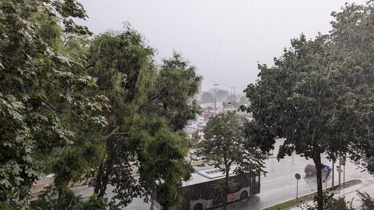 Cod rosu! in sfarsit a venit ciclonul lui Arafat la Constanta. Video Cod rosu! in sfarsit a venit ciclonul lui Arafat la Constanta. Video